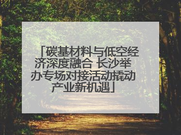 碳基材料与低空经济深度融合 长沙举办专场对接活动撬动产业新机遇