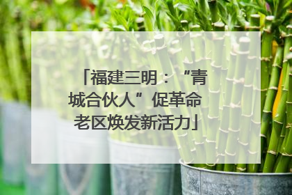 福建三明：“青城合伙人”促革命老区焕发新活力