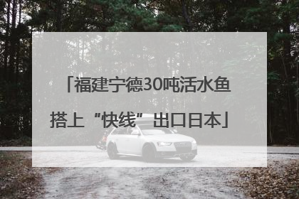 福建宁德30吨活水鱼搭上“快线”出口日本