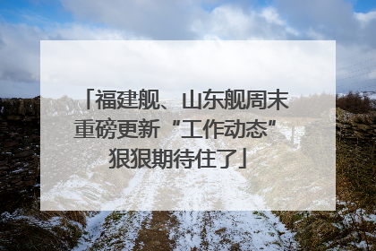 福建舰、山东舰周末重磅更新“工作动态” 狠狠期待住了