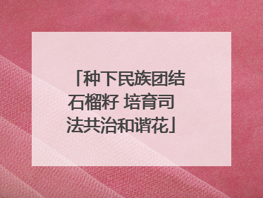 种下民族团结石榴籽 培育司法共治和谐花