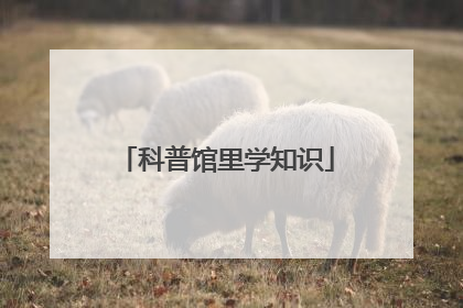 科普馆里学知识