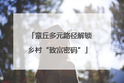 章丘多元路径解锁乡村“致富密码”