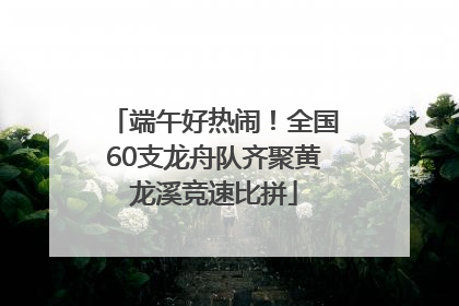 端午好热闹！全国60支龙舟队齐聚黄龙溪竞速比拼