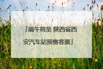 端午将至 陕西省西安汽车站预售客票
