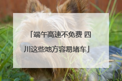 端午高速不免费 四川这些地方容易堵车