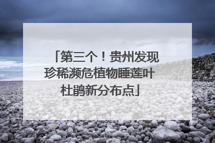 第三个！贵州发现珍稀濒危植物睡莲叶杜鹃新分布点