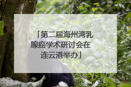 第二届海州湾乳腺癌学术研讨会在连云港举办
