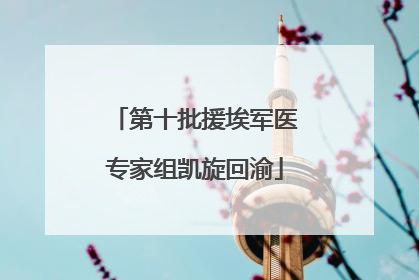 第十批援埃军医专家组凯旋回渝