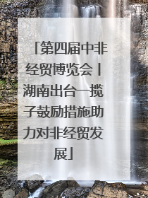 第四届中非经贸博览会丨湖南出台一揽子鼓励措施助力对非经贸发展