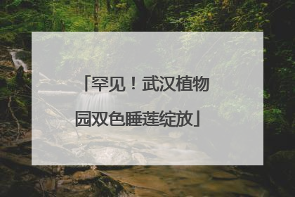 罕见！武汉植物园双色睡莲绽放