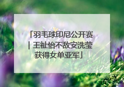 羽毛球印尼公开赛｜王祉怡不敌安洗莹 获得女单亚军