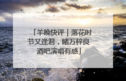 羊晚快评｜落花时节又逢君，睹万梓良酒吧演唱有感