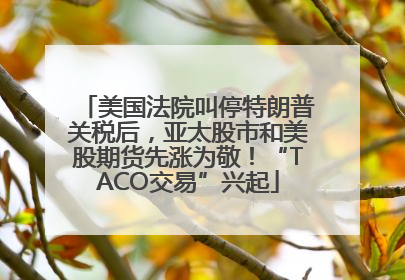 美国法院叫停特朗普关税后，亚太股市和美股期货先涨为敬！“TACO交易”兴起