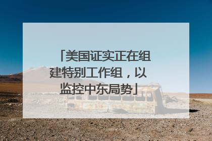 美国证实正在组建特别工作组，以监控中东局势