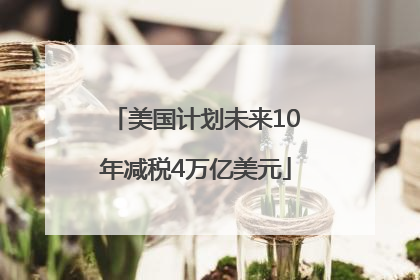 美国计划未来10年减税4万亿美元