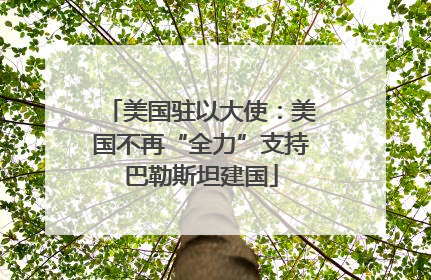 美国驻以大使：美国不再“全力”支持巴勒斯坦建国
