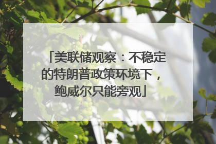 美联储观察：不稳定的特朗普政策环境下，鲍威尔只能旁观