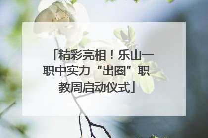 精彩亮相！乐山一职中实力“出圈”职教周启动仪式