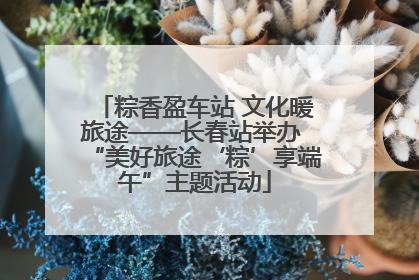 粽香盈车站 文化暖旅途——长春站举办 “美好旅途‘粽’享端午”主题活动