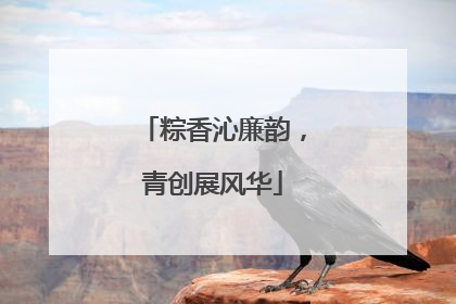粽香沁廉韵，青创展风华