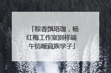 粽香飘珞珈，杨红梅工作室别样端午情暖藏族学子
