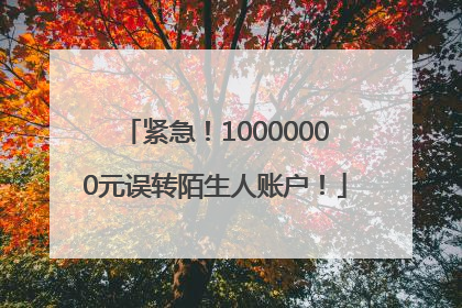紧急！10000000元误转陌生人账户！