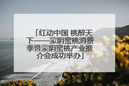 红动中国 桃醉天下——蒙阴蜜桃消费季暨蒙阴蜜桃产业推介会成功举办