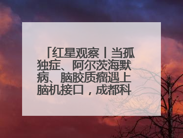红星观察丨当孤独症、阿尔茨海默病、脑胶质瘤遇上脑机接口，成都科研改变医学图景