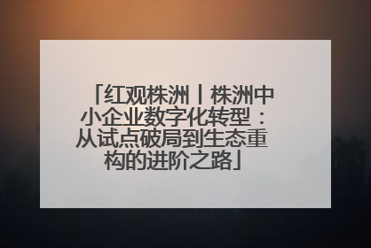 红观株洲丨株洲中小企业数字化转型：从试点破局到生态重构的进阶之路