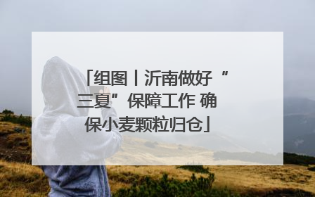 组图丨沂南做好“三夏”保障工作 确保小麦颗粒归仓