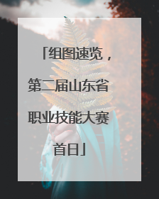 组图速览，第二届山东省职业技能大赛首日