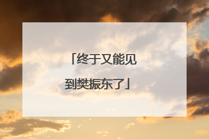 终于又能见到樊振东了