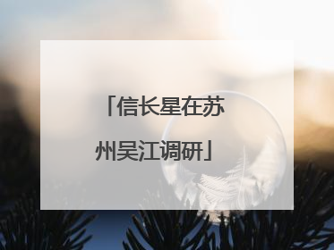 信长星在苏州吴江调研