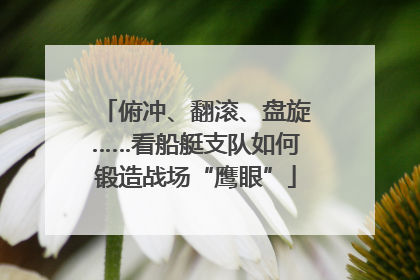 俯冲、翻滚、盘旋……看船艇支队如何锻造战场“鹰眼”
