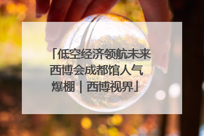 低空经济领航未来 西博会成都馆人气爆棚｜西博视界