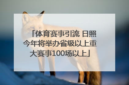 体育赛事引流 日照今年将举办省级以上重大赛事100场以上