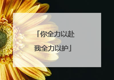 你全力以赴 我全力以护