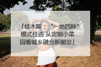 佳木斯：“一地四种” 模式任选 从定制小菜园看城乡融合新图景