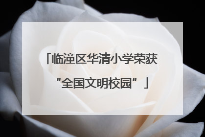 临潼区华清小学荣获“全国文明校园”