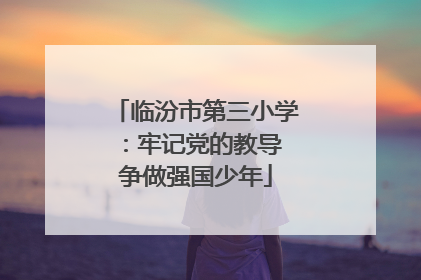 临汾市第三小学：牢记党的教导 争做强国少年