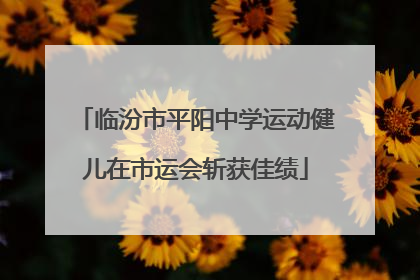 临汾市平阳中学运动健儿在市运会斩获佳绩
