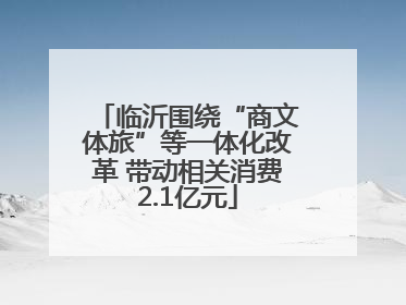 临沂围绕“商文体旅”等一体化改革 带动相关消费2.1亿元