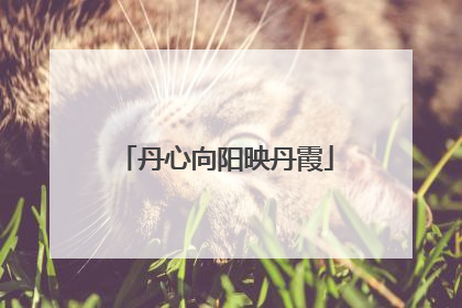 丹心向阳映丹霞