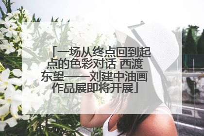 一场从终点回到起点的色彩对话 西渡东望——刘建中油画作品展即将开展