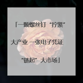 一颗螺丝钉“拧紧”大产业 一张电子凭证“链起”大市场