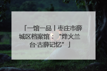 一馆一品丨枣庄市薛城区档案馆：“烽火兰台·古薛记忆”