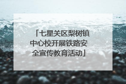 七星关区梨树镇中心校开展铁路安全宣传教育活动