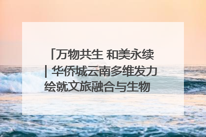 万物共生 和美永续｜华侨城云南多维发力 绘就文旅融合与生物多样性保护新图景