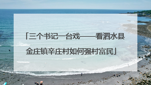 三个书记一台戏——看泗水县金庄镇辛庄村如何强村富民